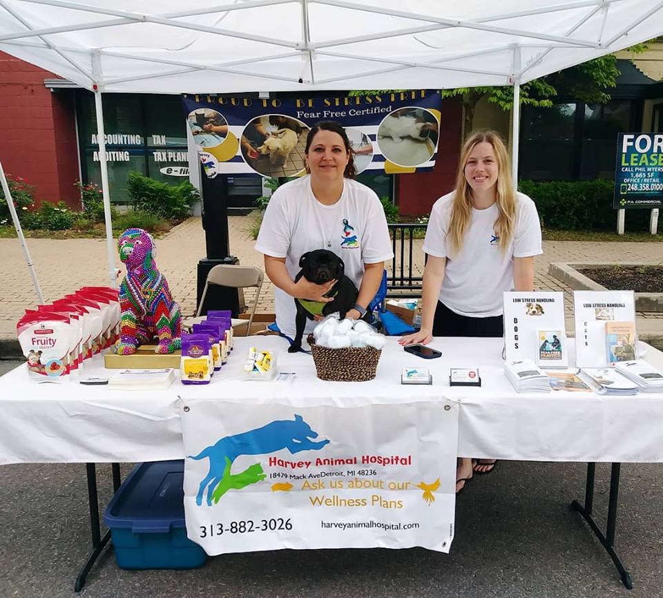 After 6 on Kercheval Community Sponsor Harvey Animal Hospital After 6 on Kercheval Community Sponsor Harvey Animal Hospital