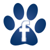 Facebook icon