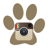 Instagram icon