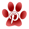 Pinterest icon