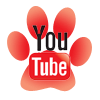 YouTube icon