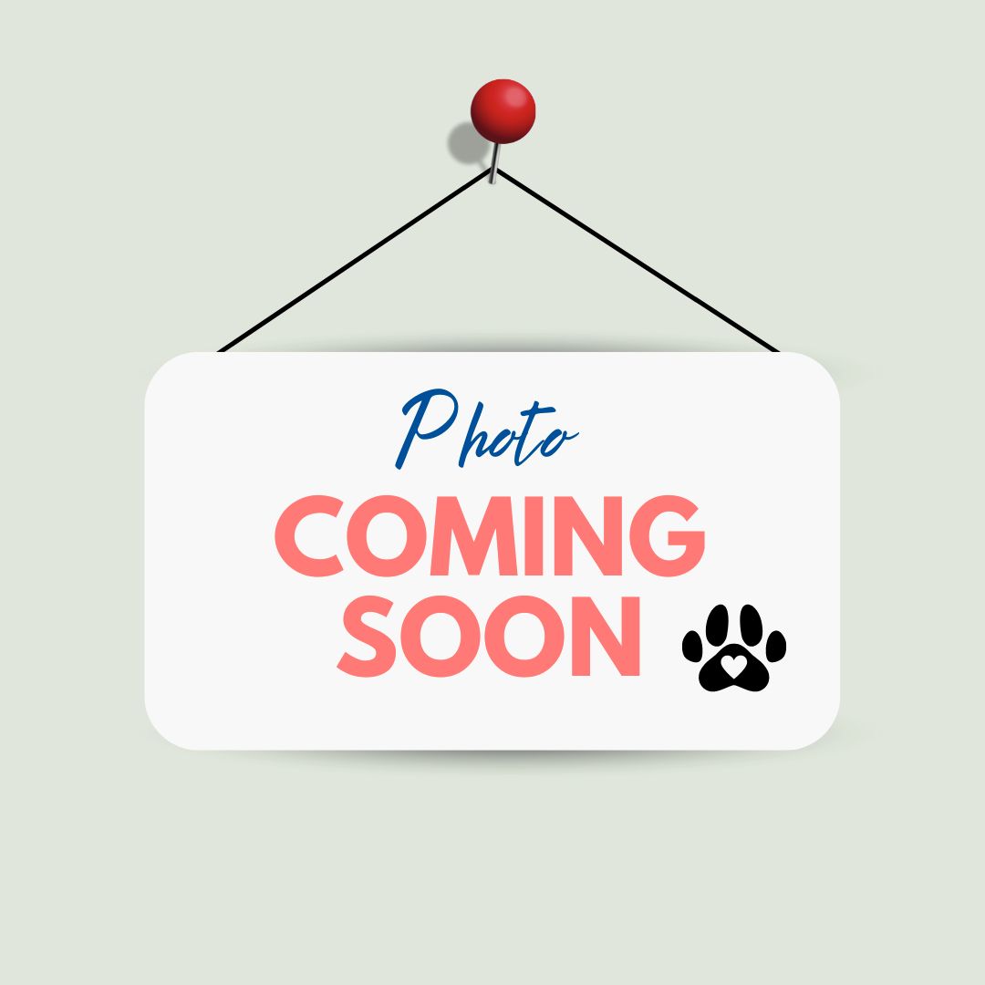 Photo coming soon