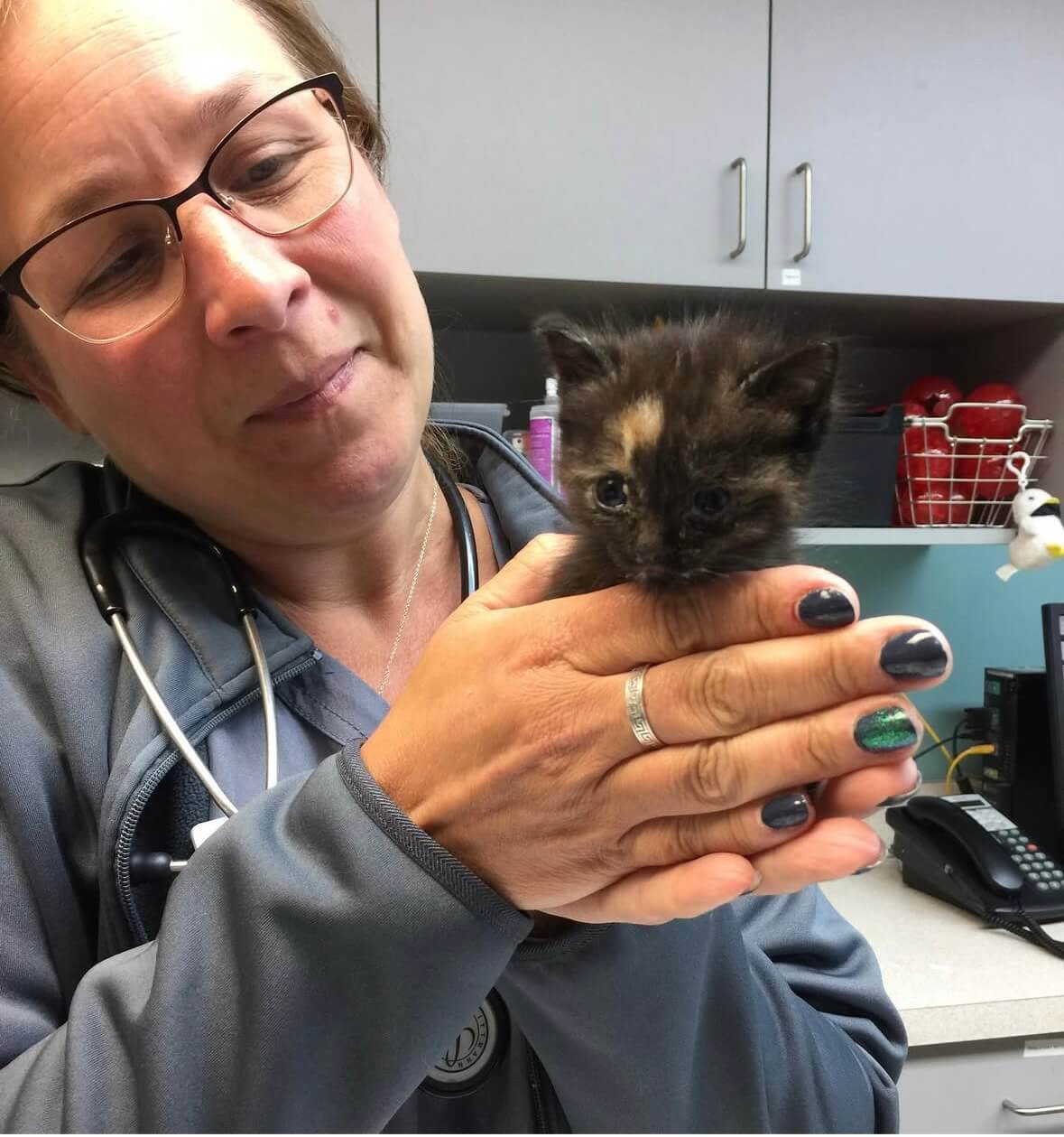 image for the about us page