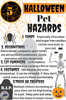 Halloween Hazrards for pets