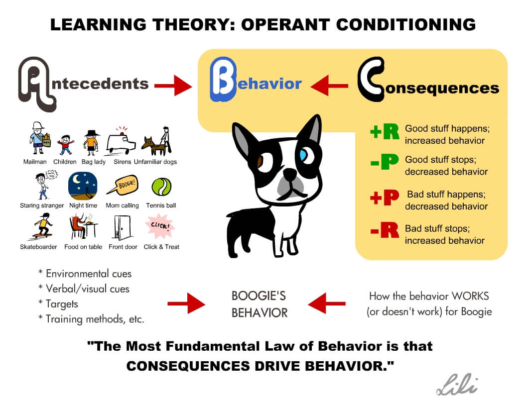 Learning Theory