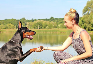 Positive Training sessions can strengthen the bond between you and your pet
