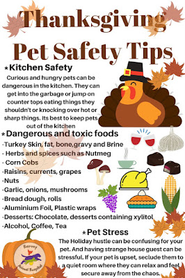 Thanks giving safety tips