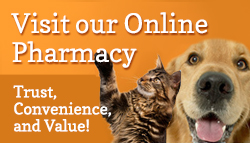 visit our pharmacy