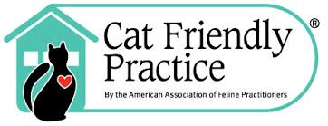 Cat friendly practice