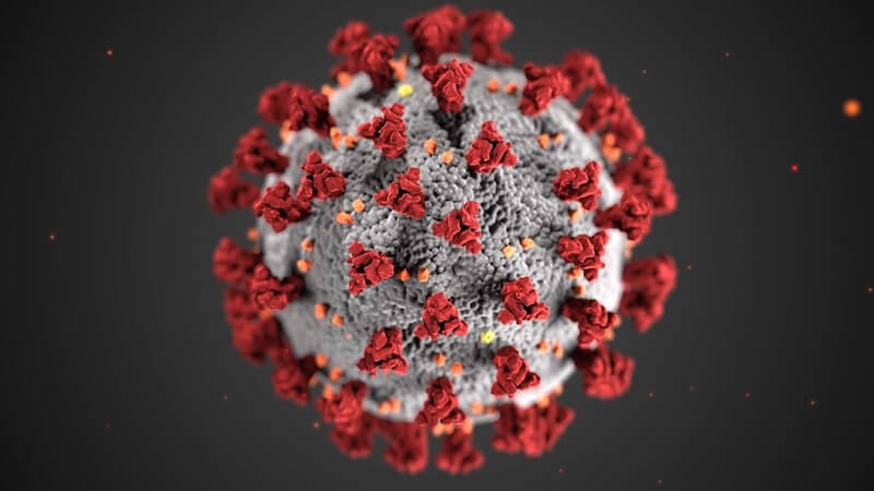 A microscopic look at The Corona Virus
