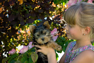little girl and her puppy