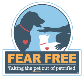 fear-free
