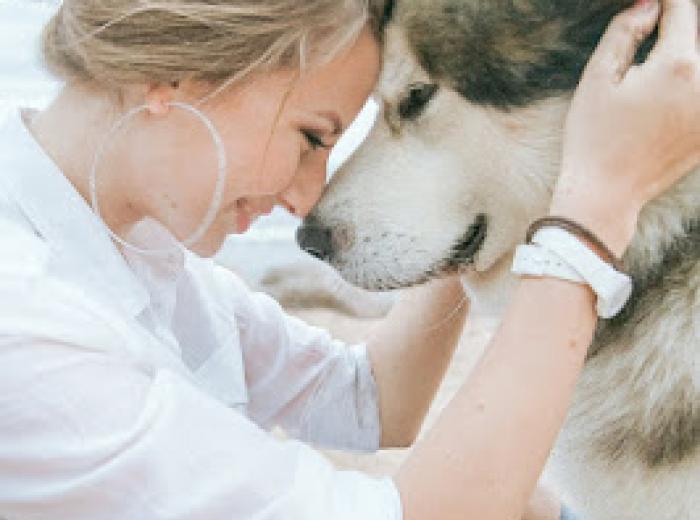 COVID-19 and Your Pets - What You Need to Know