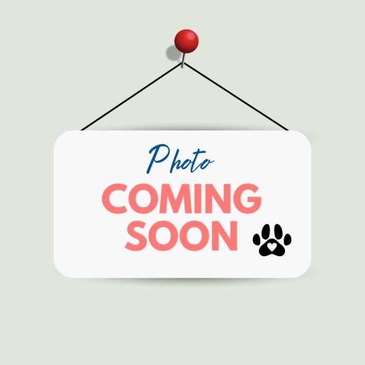Photo coming soon