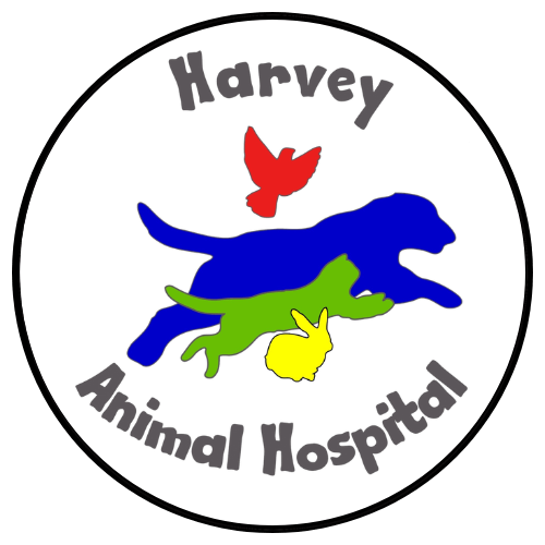 Harvey Memorial Animal Hospital