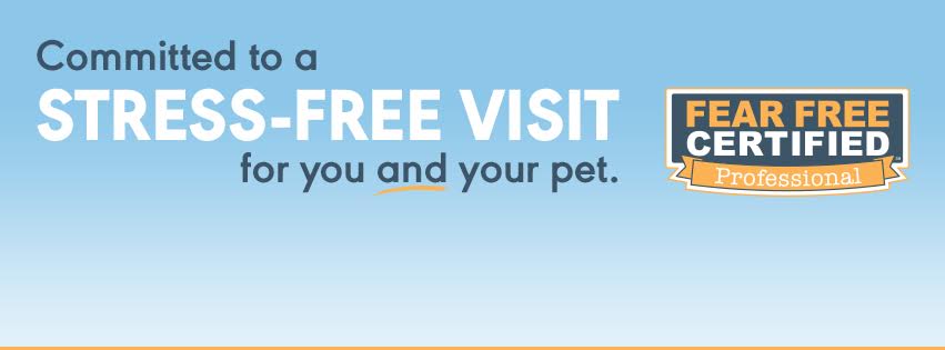 vet near me	 veterinarian	 veterinarian near me	 emergency vet near me	 er vet near me animal hospital animal hospital near me	 emergency vet	 vet clinics near me	 veterinary clinics near me	 pet clinic near me	165 000 vet clinic	 veterinary clinic	 vet care	 pet hospital near me	 vet hospital	 veterinary hospital	 vet hospital near me	 veterinary hospital near me	 dog vet near me	 animal clinic	 vet near me for dogs	 pet clinic	 dog veterinarian near me	 cat vet near me	 animal clinic near me	 pet hospital	 avian vet near me	 exotic vet near me	 bird vet near me	 exotic animal vet near me	 carecredit vet	 vets open near me	 pet vet	 companion animal hospital	 vet care near me	 veterinary doctor near me	 dog hospital near me	 urgent vet	 best vet near me	 vet offices near me	 vet urgent care	 vet near me open now	 good vets near me	 emergency animal hospital	 animal vet near me	 cat vet	 rabbit vet near me	 dog clinic near me	 bunny vet near me	 animal care clinic	 animal care center	 pet vet near me	 urgent care vet near me	 animal vet	 pet vets near me	 care animal hospital	 animal emergency hospital	 dog vet	1 local vets near me	 cat hospital near me	 avian vet	 bird vet animal doctor	 animal doctor near me	 dog hospital	 best veterinarian near me	 cat clinic near me	 nearest vet	 cat hospital	 nearest veterinarian	 affordable pet clinic	 vet open now	 local veterinarians	 local vet	 exotic pet vet near me	 cat doctor near me	 dog clinic	 pet vet clinic	 emergency pet hospital near me	 small animal vet near me	 all pets animal hospital	 local vets	 cat veterinarian near me	 affordable animal hospital	 vet services near me	 veterinary dermatologist near me	 vet for pets	 veterinarian near me open now vets around me poultry vet near me	 nearest vet near me	 closest vet to me	 vet for dogs	 vet visit cost	 vet check up cost	 urgent care for dogs near me	 Grosse Pointe Grosse pointe Vet St. Clair shores Vet St. Clair Shores Detroit vet Detroit 