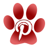 Pinterest icon