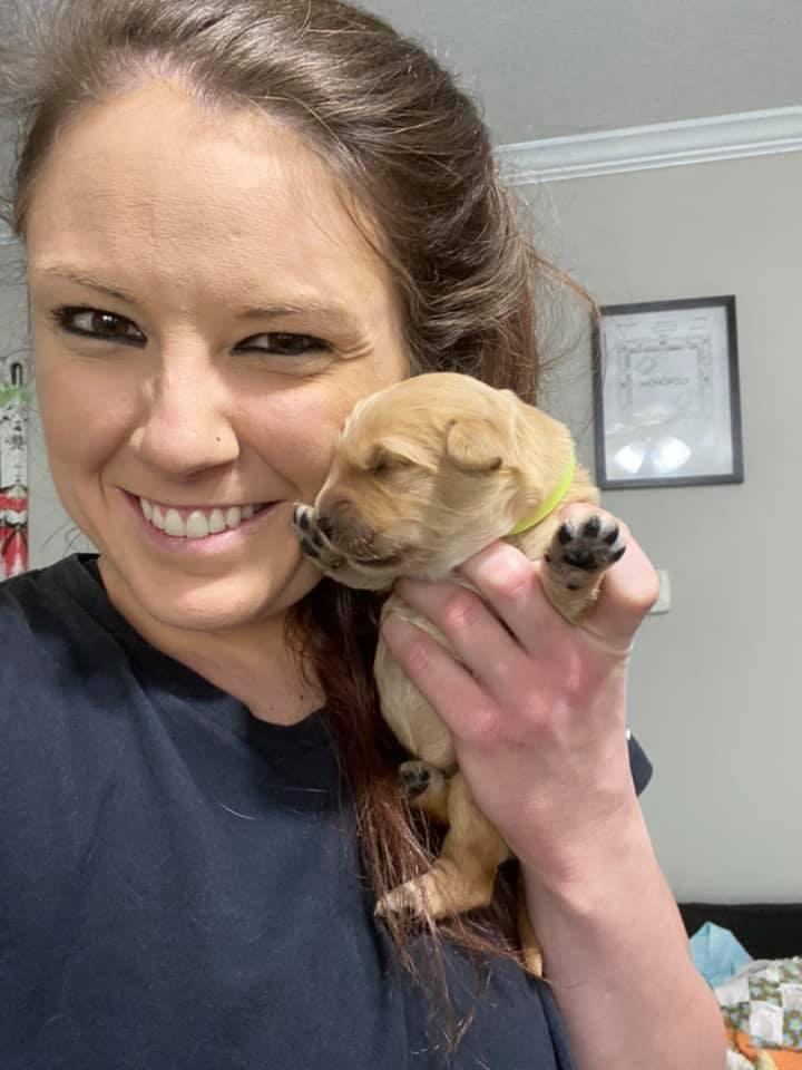 Brittany M. - Veterinary Assistant/Veterinary Technician Student Brittany M. - Veterinary Assistant/Veterinary Technician Student
