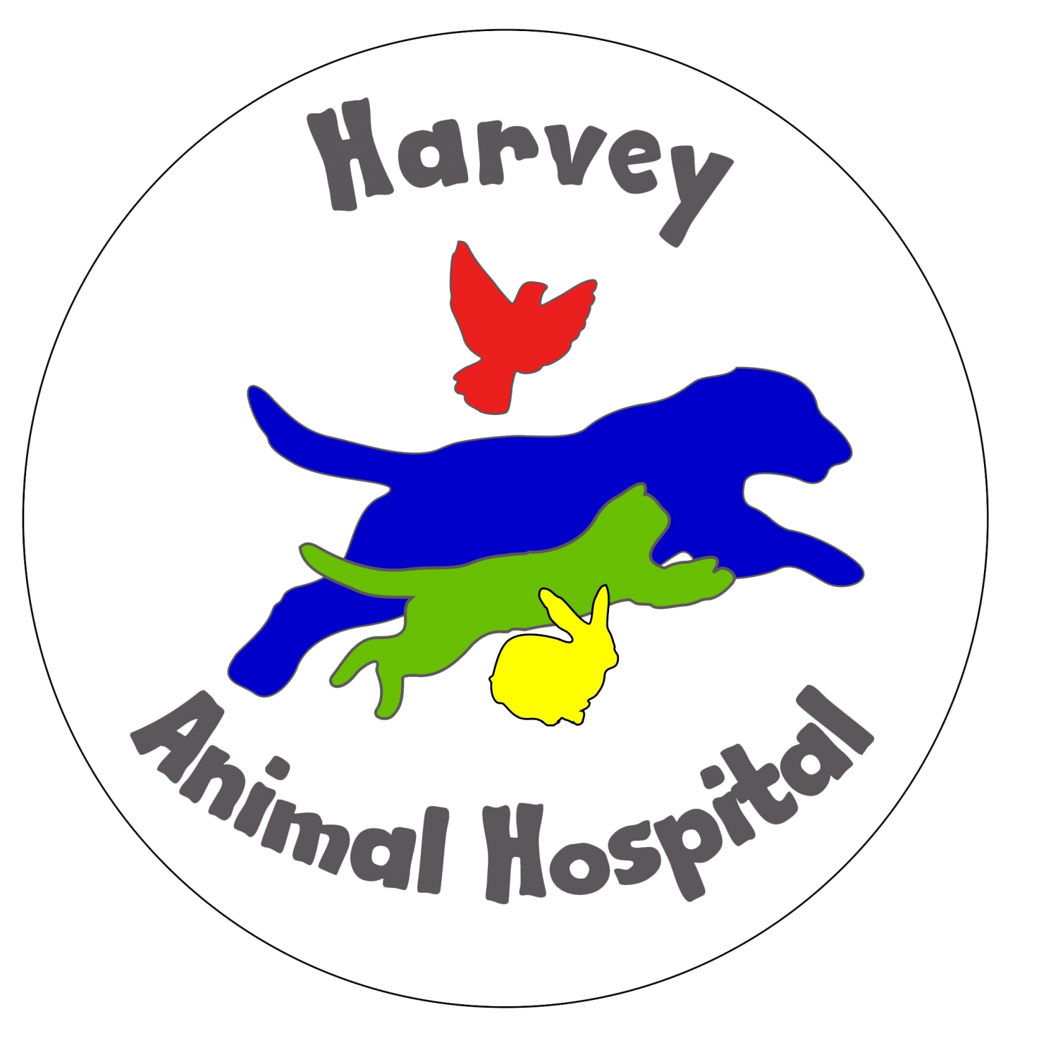 Harvey Animal Hospital - Animal Hospital, Veterinary Hospital in Grosse pointe/Detroit/St. Clair shores